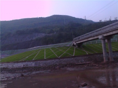 四川南充護(hù)城河治理項目1